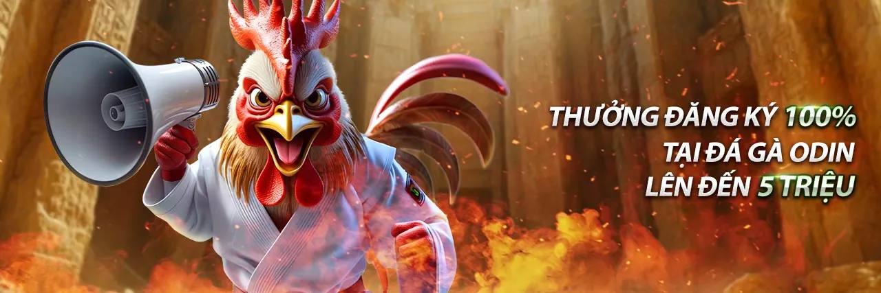 Cơ hội phát triển sự nghiệp bình luận viên đá gà