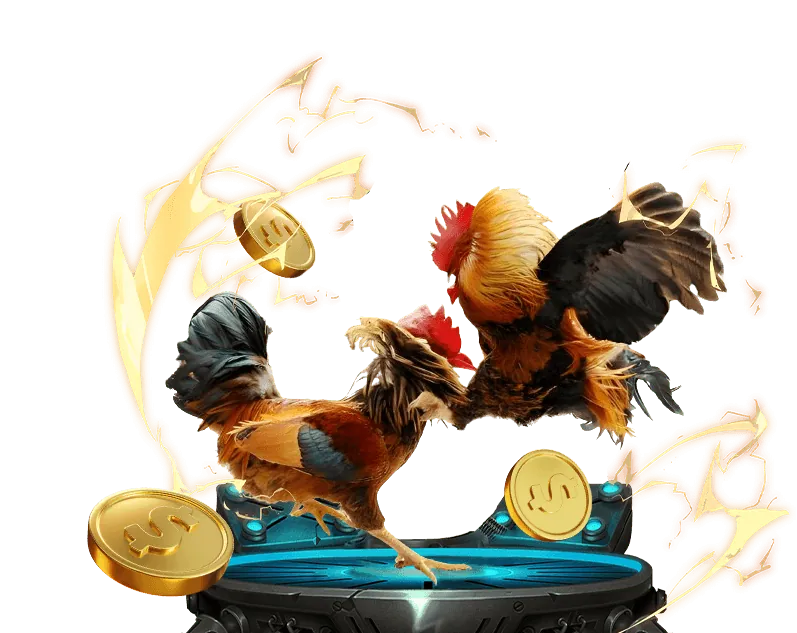 Hình ảnh minh họa về quy trình thu thập và sử dụng dữ liệu cá nhân trên nền tảng cá cược đá gà trực tuyến